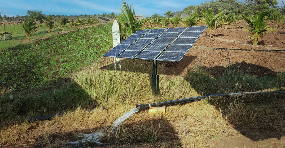 solar-water-pumps-revolutionizing-India- agriculture-sector